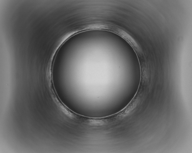 X0000113560852200909181218