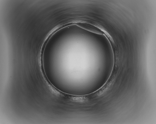X0000113560853200909181218