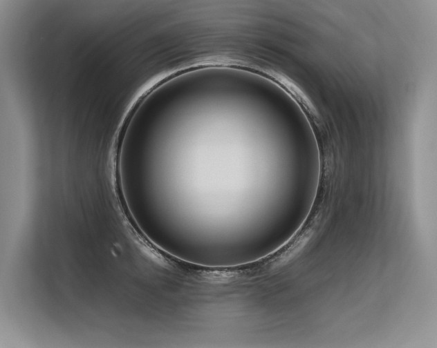 X0000113560854200909181218