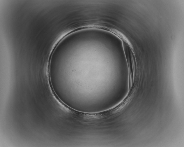 X0000113560855200909181218