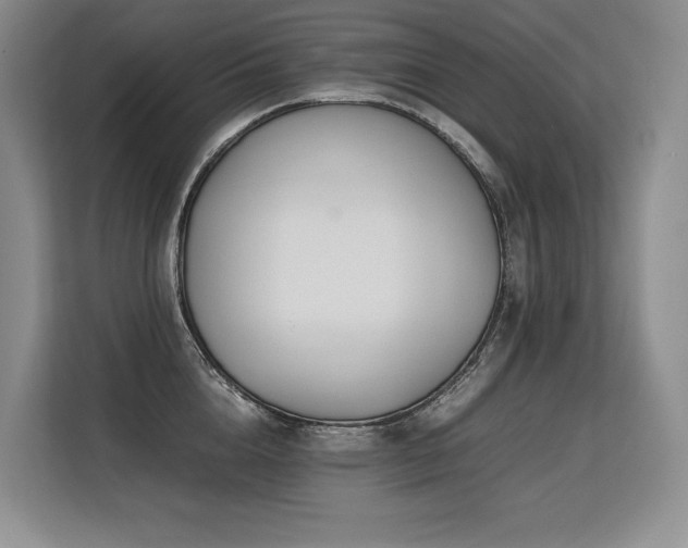 X0000113560856200909181218