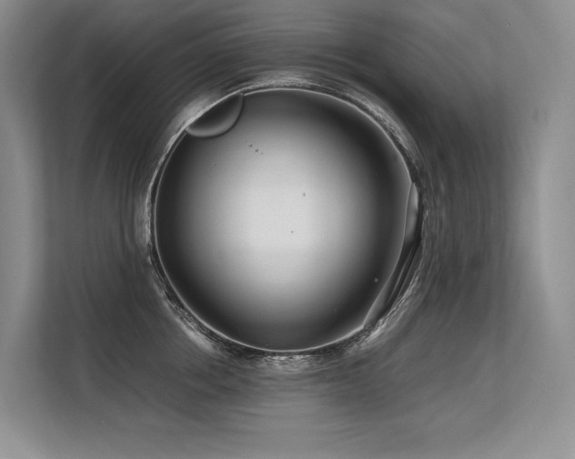 X0000113560858200909181218