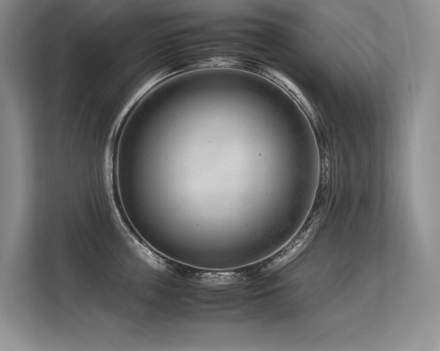 X0000113560859200909181218