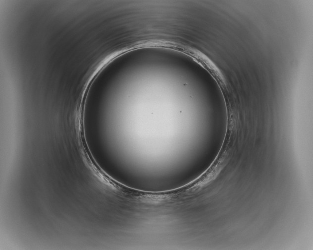 X0000113560860200909181218