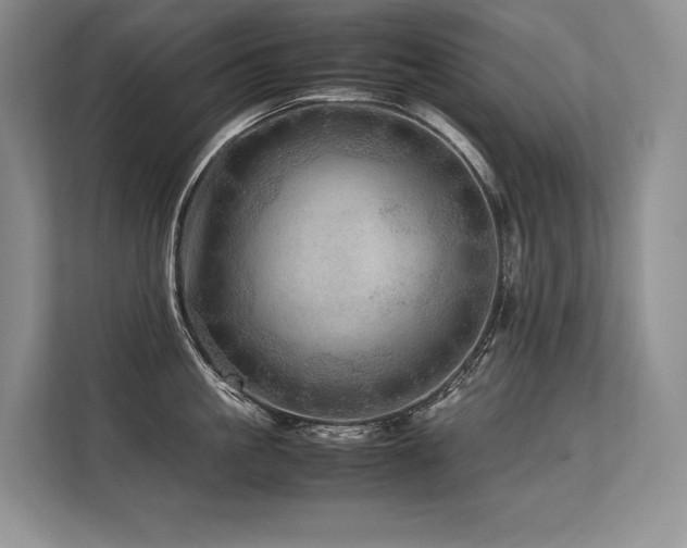 X0000113560861200909181218
