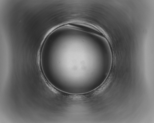 X0000113560862200909181218
