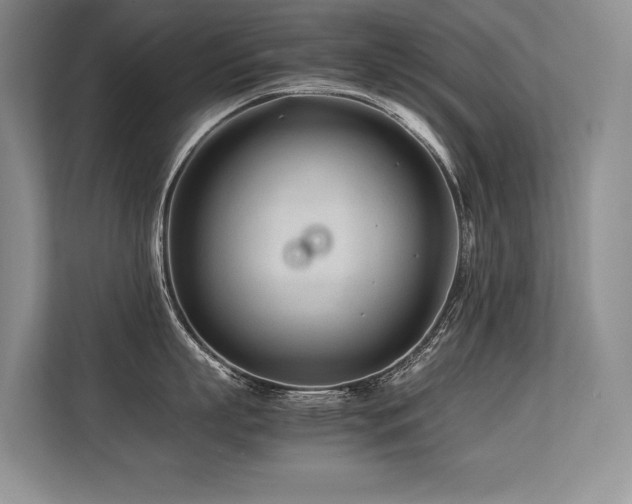 X0000113560863200909181218