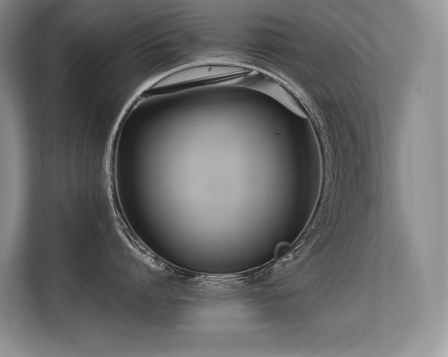 X0000113560864200909181218