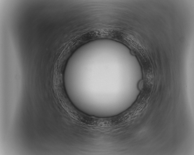 X0000113560865200909181217