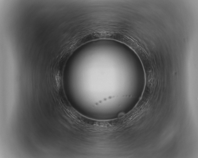 X0000113560866200909181217