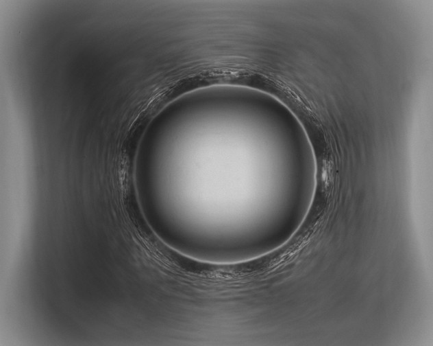 X0000113560867200909181217
