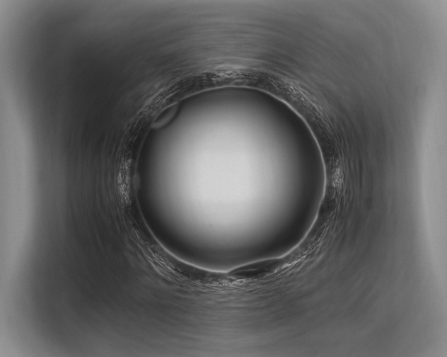 X0000113560868200909181217