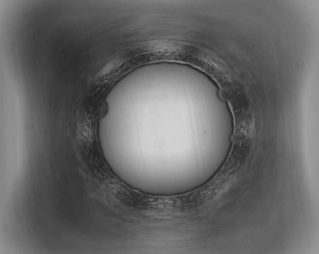 X0000113560869200909181217
