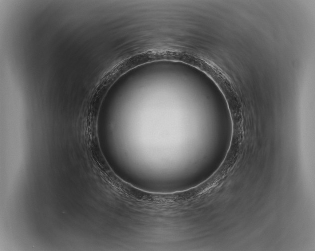 X0000113560870200909181217