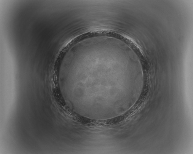 X0000113560871200909181217