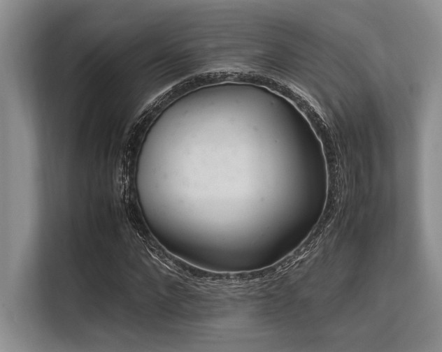 X0000113560872200909181217