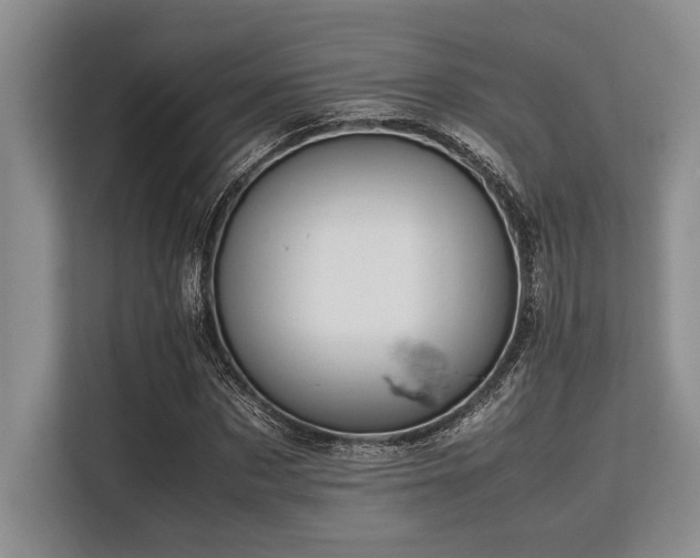 X0000113560873200909181217