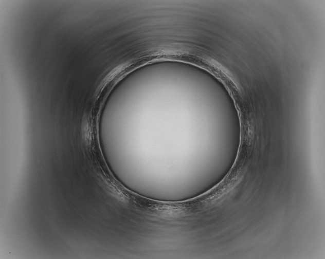 X0000113560874200909181217