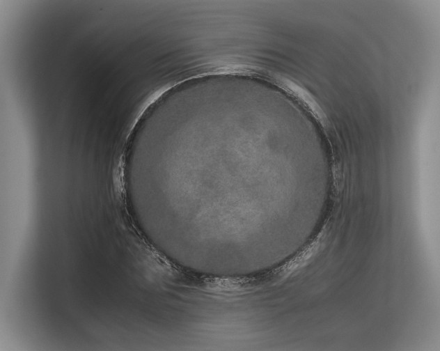 X0000113560875200909181217