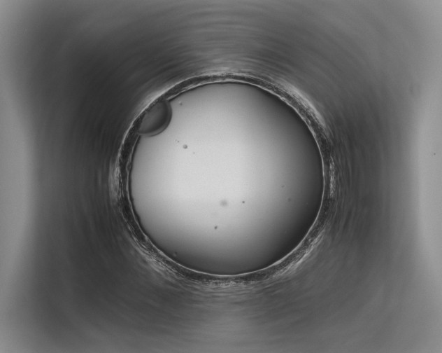 X0000113560876200909181217