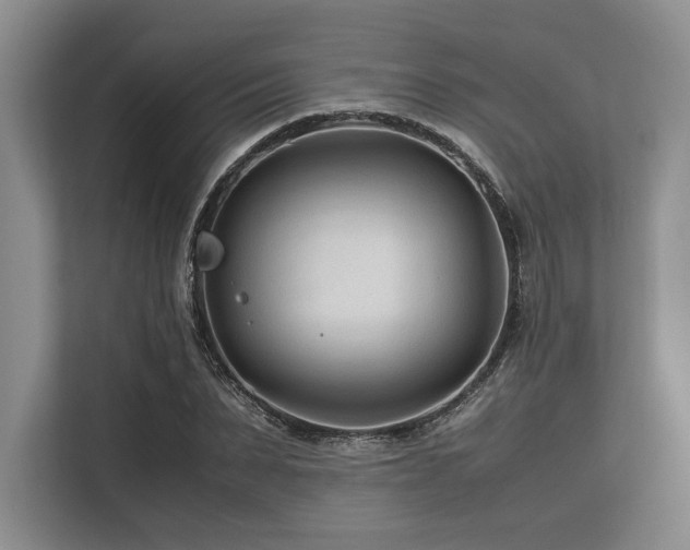 X0000113560879200909181217
