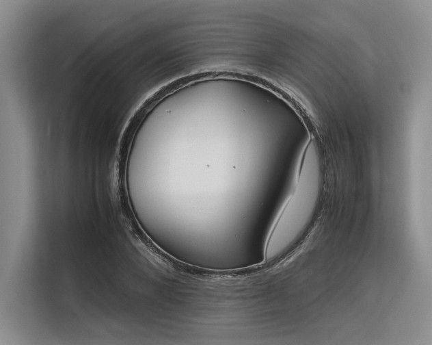 X0000113560880200909181217