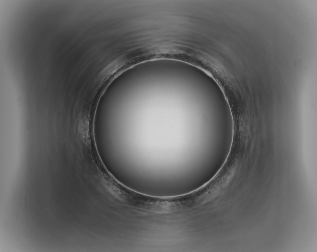 X0000113560881200909181217