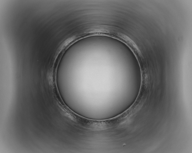 X0000113560882200909181217