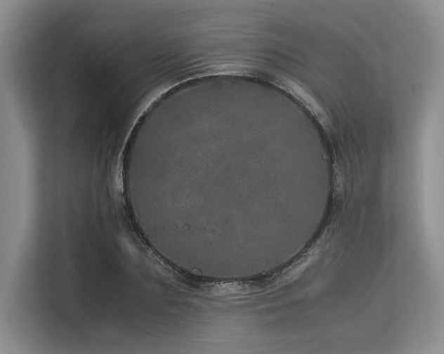 X0000113560883200909181217