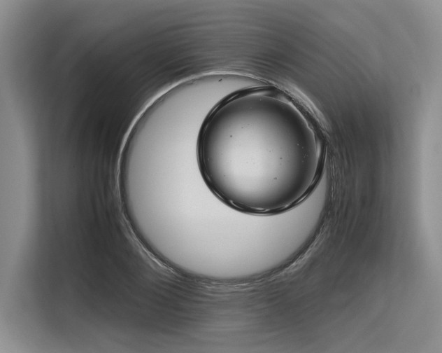 X0000113560884200909181217