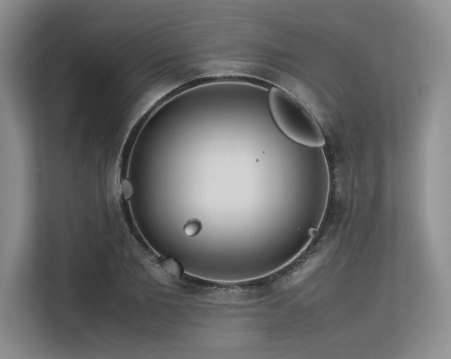 X0000113560885200909181217