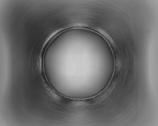X0000113560886200909181217