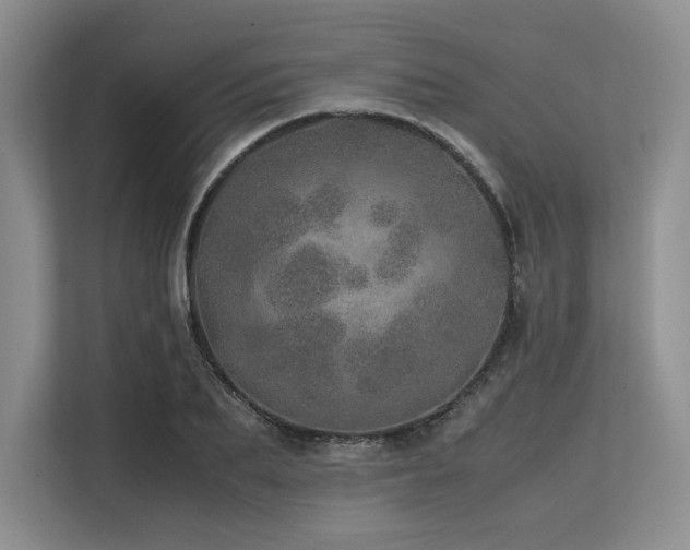 X0000113560887200909181217