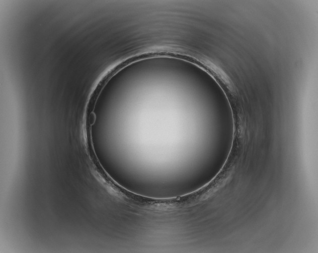 X0000113560888200909181217