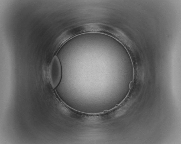 X0000113560889200909181217