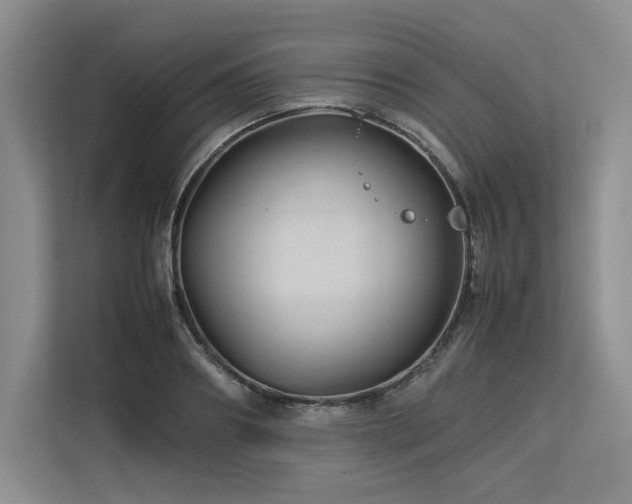 X0000113560890200909181217