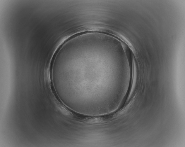X0000113560891200909181217