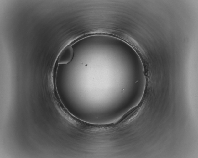 X0000113560892200909181217