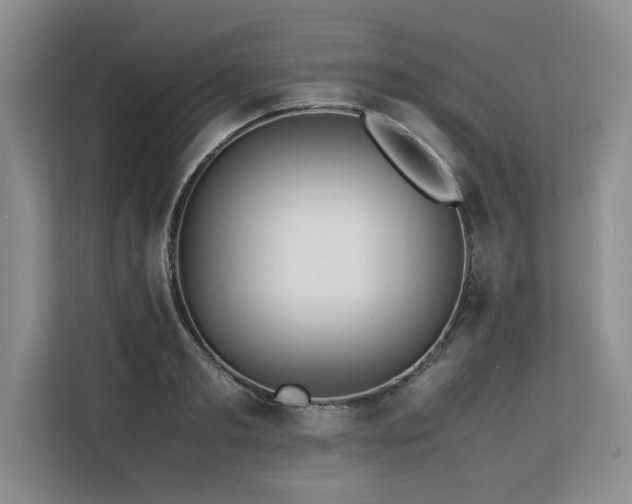 X0000113560893200909181217