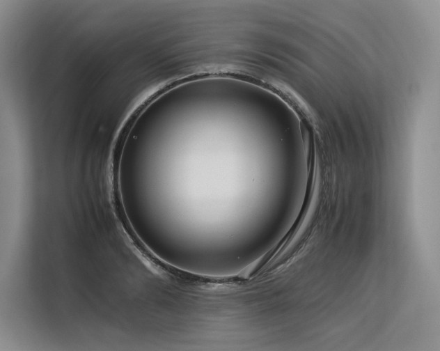 X0000113560894200909181217