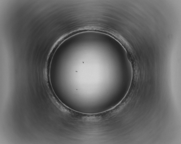 X0000113560896200909181217