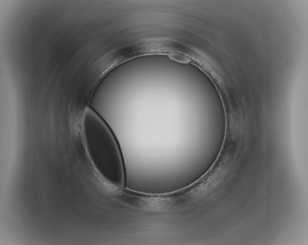 X0000113560897200909181217