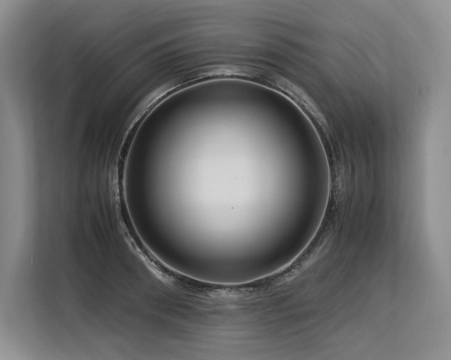 X0000113560898200909181217