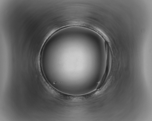 X0000113560899200909181217