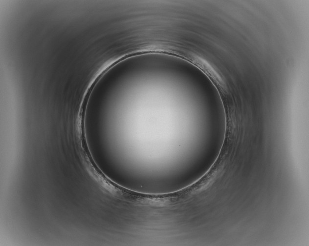 X0000113560900200909181217