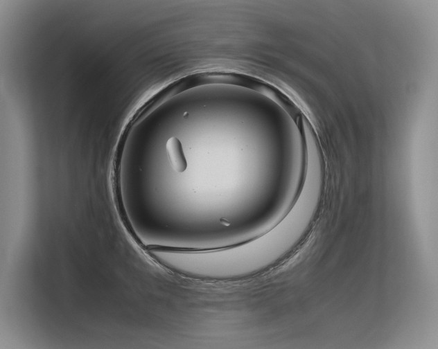 X0000113560901200909181217