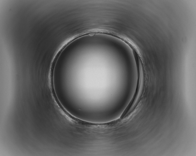 X0000113560902200909181217