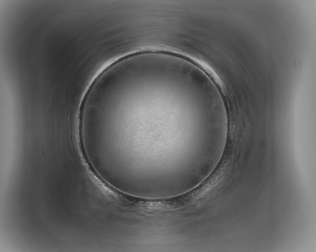X0000113560903200909181217
