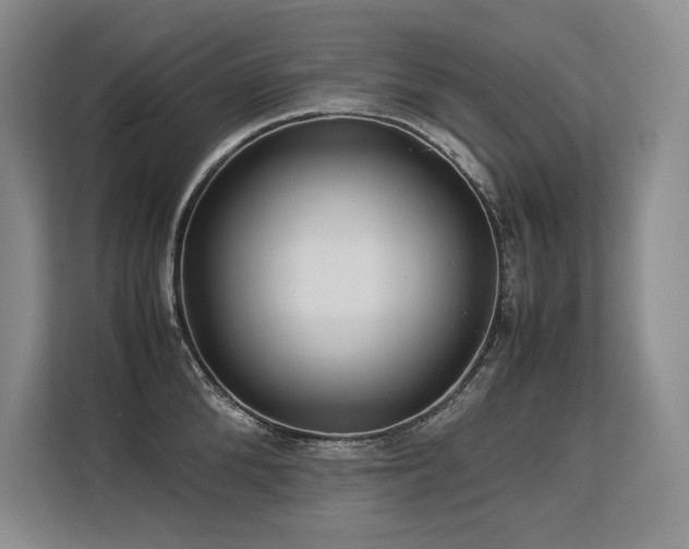 X0000113560904200909181217