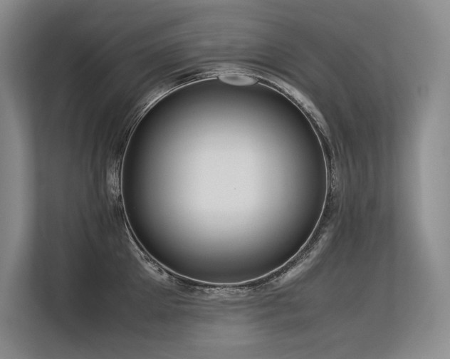 X0000113560905200909181217